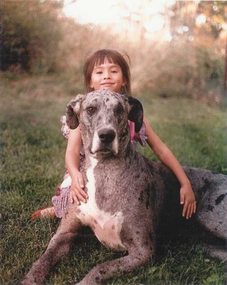 Illustration for article titled When Animals Attract: Your Cuddly Childhood Creatures